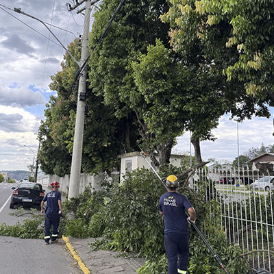 Serviços florestais